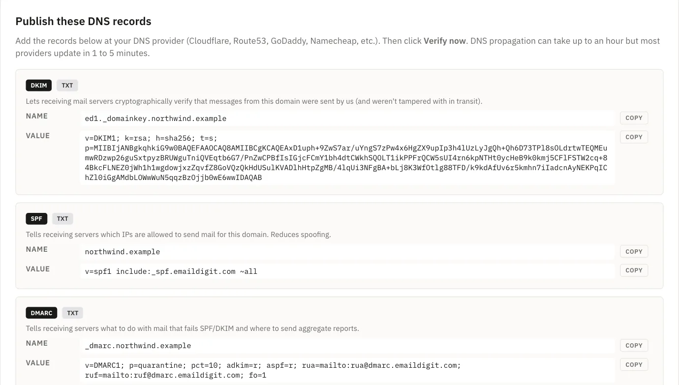 The DNS records to publish for a domain set up with plain TXT records: DKIM, SPF and DMARC, each with a copy button.